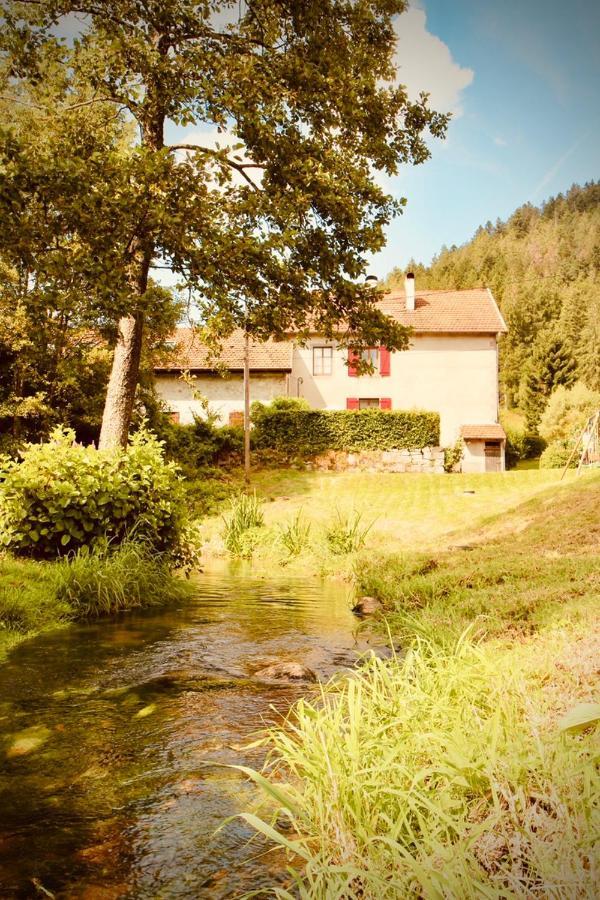 Gite De Charme Jusqu'A 14 Personnes, Proche Du Lac De Жерарме Экстерьер фото